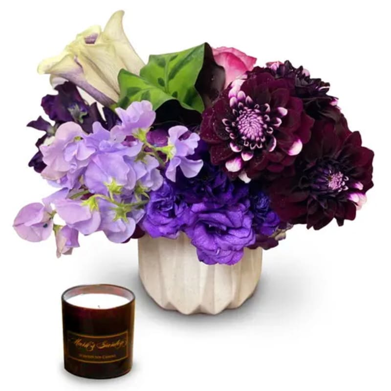 Modern Purple Flowers Delivery Sherman Oaks | Mark's Garden