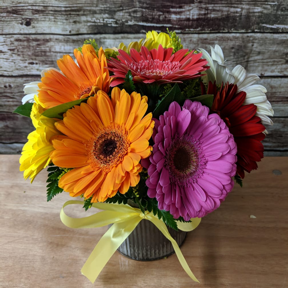 Orange Florist Flower Delivery By The Dizzy Daisy