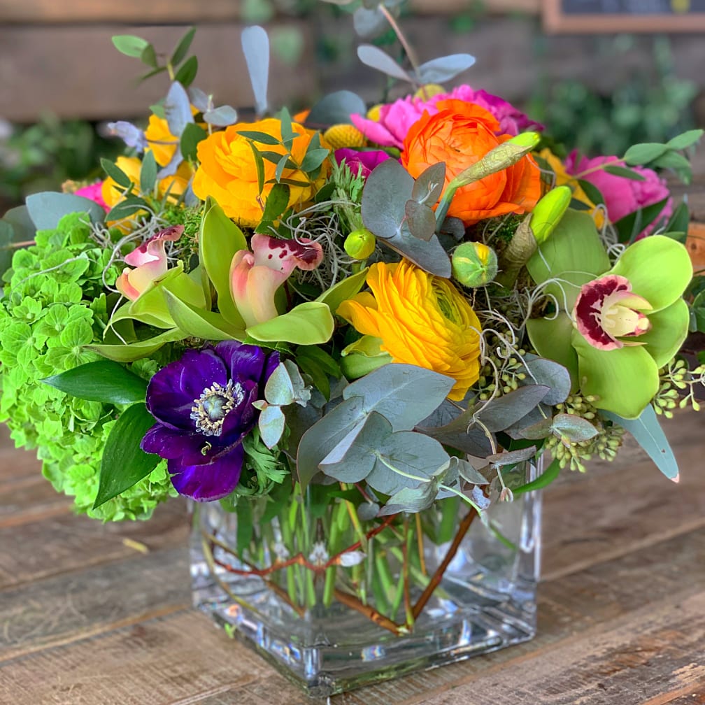 Flowers Near Belleville Nj Best Flower Site