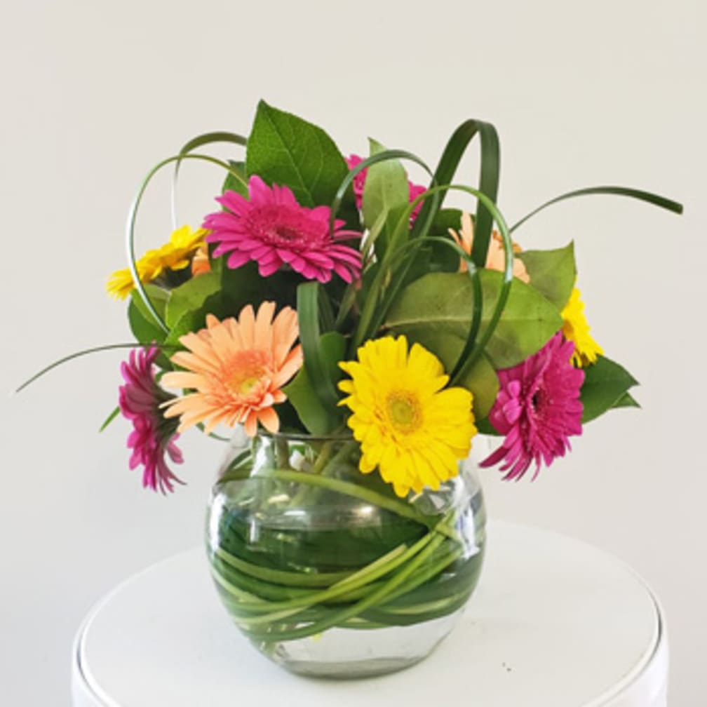 Wilmington Florist Flower Delivery By