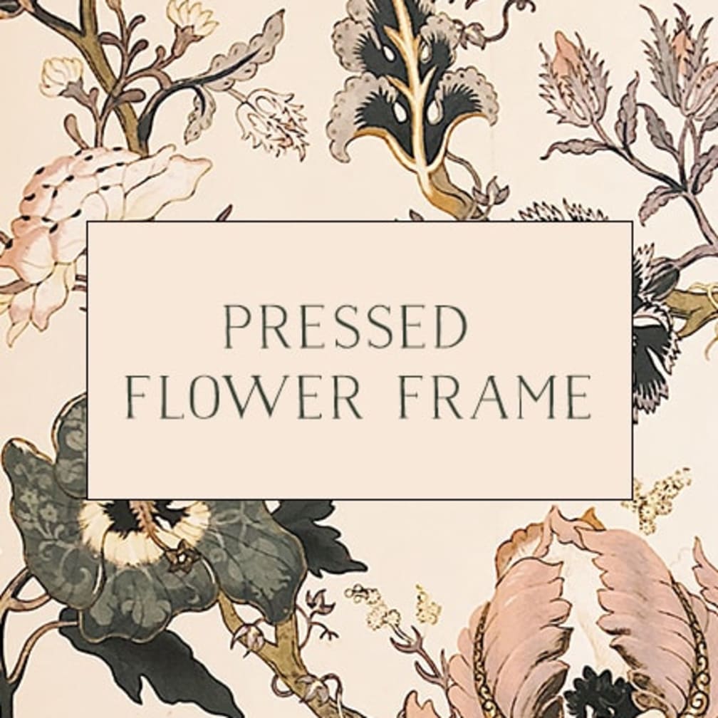 Morristown Florist Flower Delivery by Colly Flowers