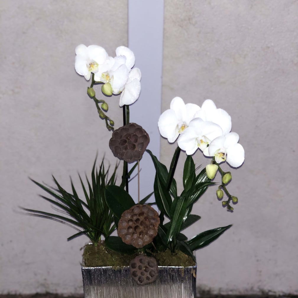 Placentia Florist Flower Delivery by Orchids Little Secret Boutique