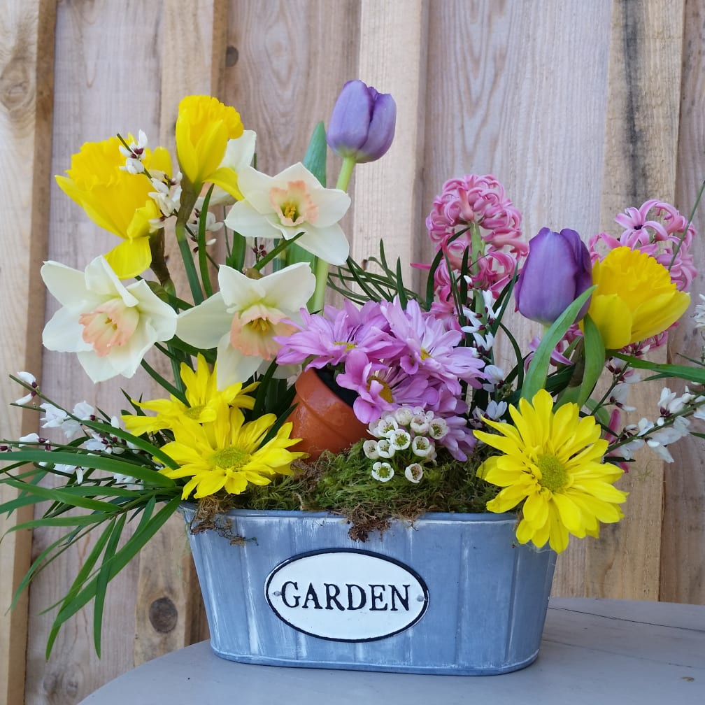 NEW CASTLE Florist Flower Delivery by Butterfly Wish Bouquets