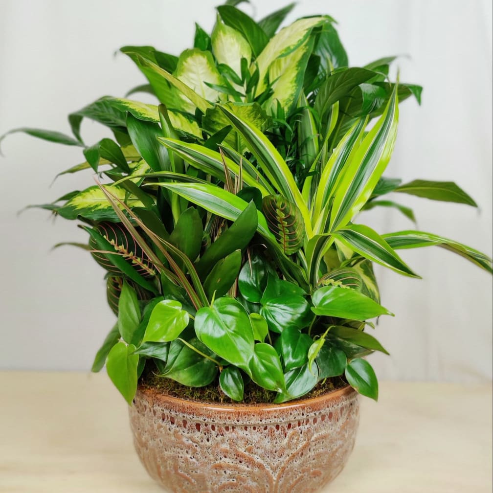 Stuart Florist Flower Delivery by A Goode Florist