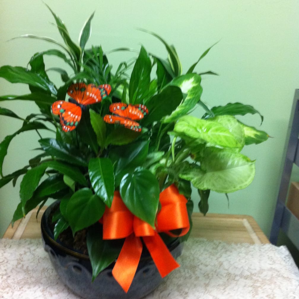 High Point Florist Flower Delivery By Green S Flowers And Gifts