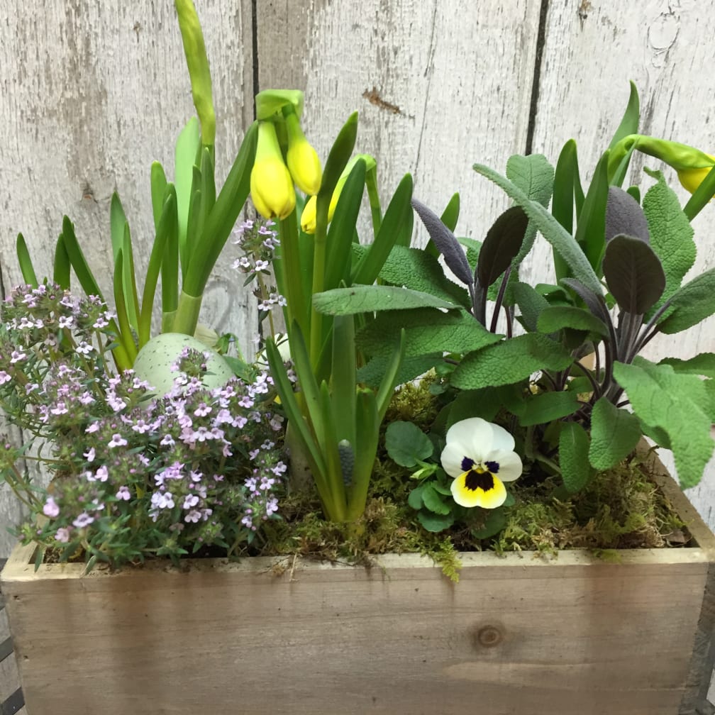 Groton Florist Flower Delivery by Lavender