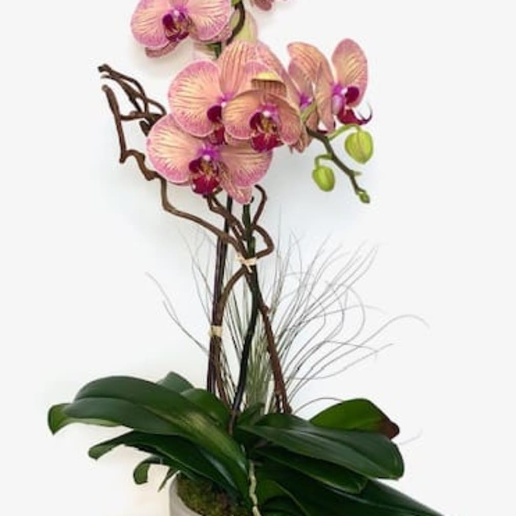 West Palm Beach Florist | Flower Delivery by Love's Flower Shop