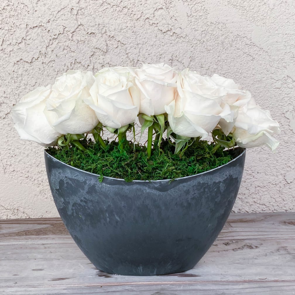 San Juan Capistrano Florist Flower Delivery by The White Dahlia