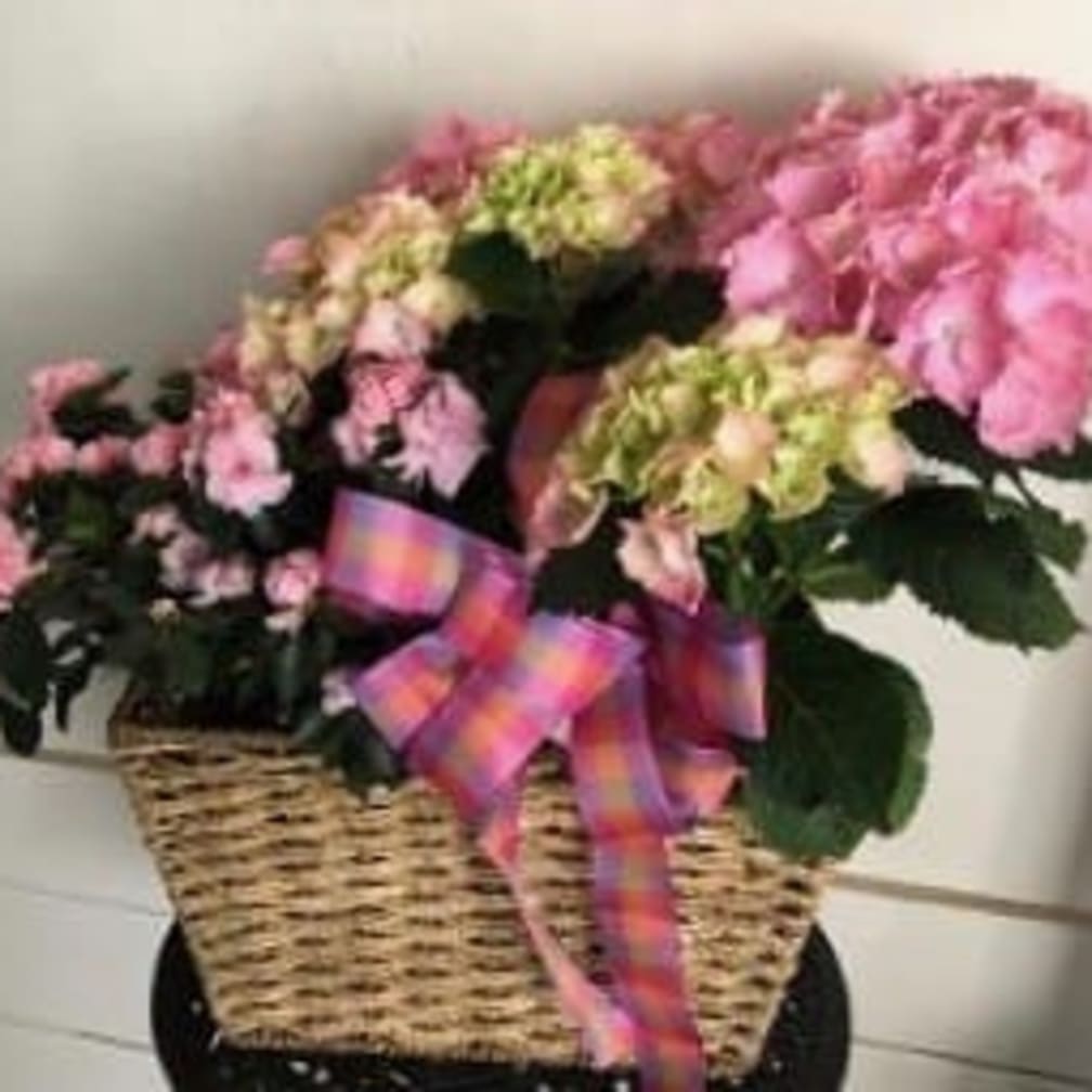 Braintree Florist Flower Delivery by Studio One Twenty Three West