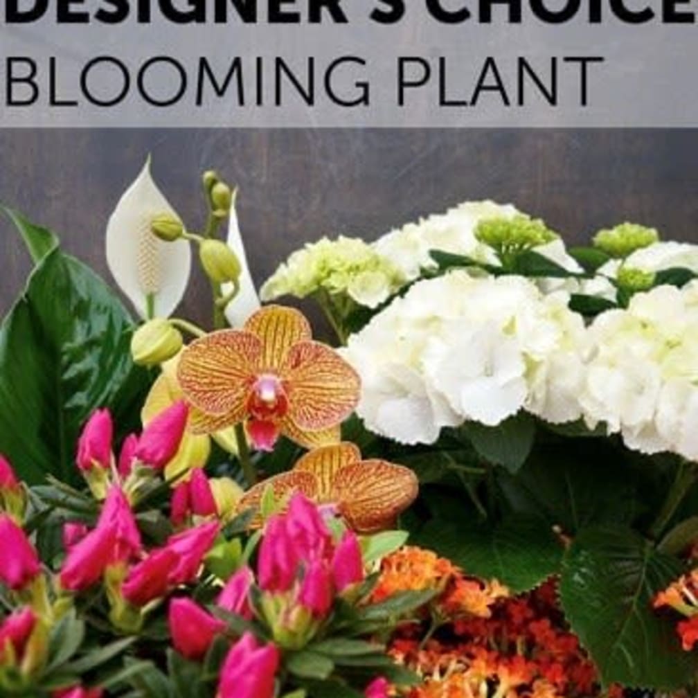 Pantego Florist Flower Delivery by Urban Country Flower Co.