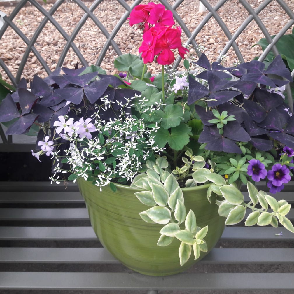 Springfield Florist Flower Delivery by Wickman's Garden Village