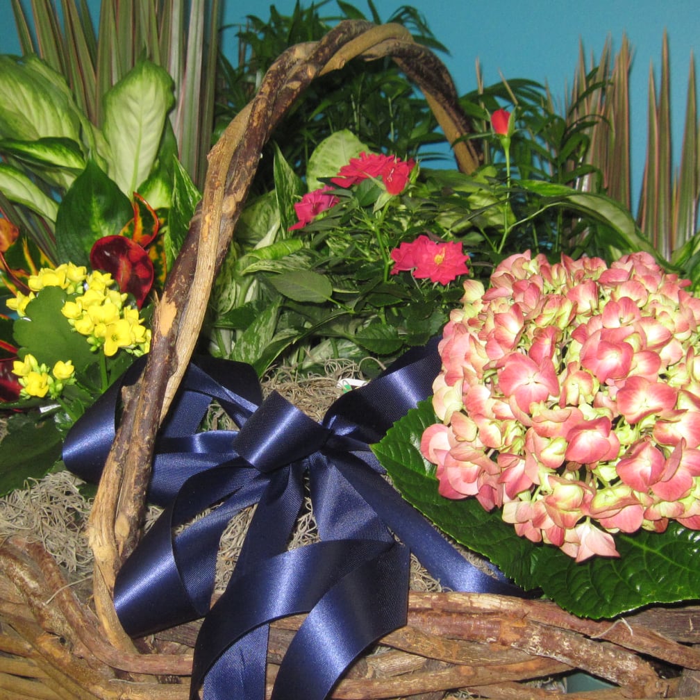 Flowers Delivery Dayton Ohio Best Flower Site