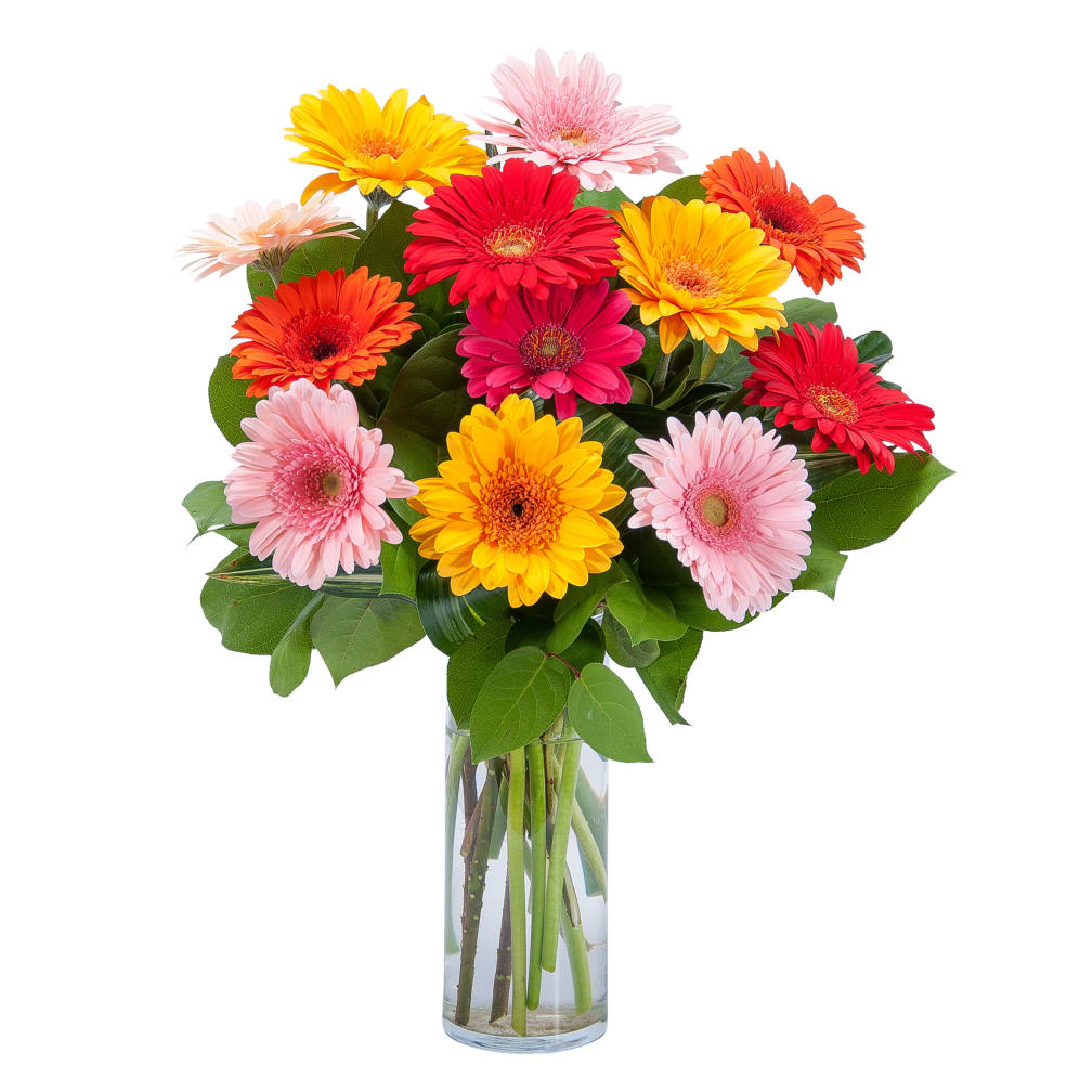 Mount Juliet Florist Flower Delivery By Moss Flower Shop Llc