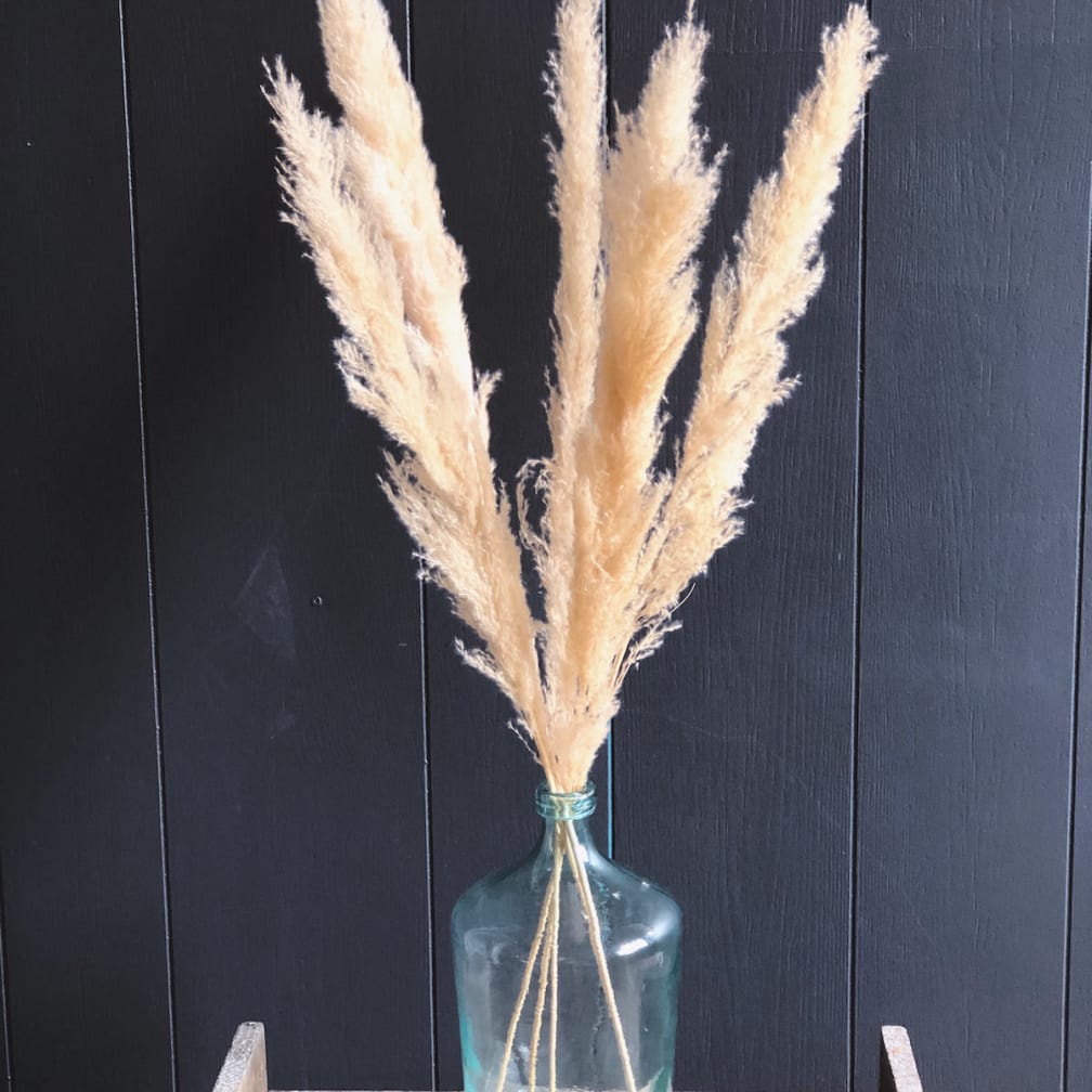 Morristown Florist Flower Delivery by Colly Flowers