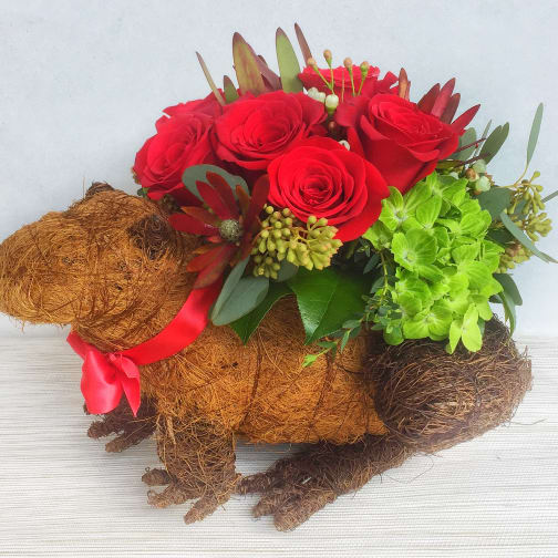 los angeles florist flower