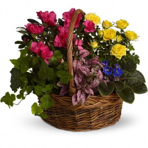 Palmyra Florist Flower Delivery by Heidi's Hobbies Florals & Gifts
