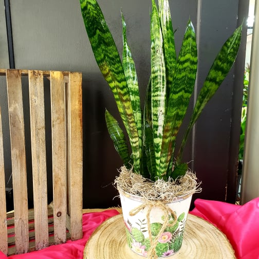 Shawnee Florist Flower Delivery by Graves Floral