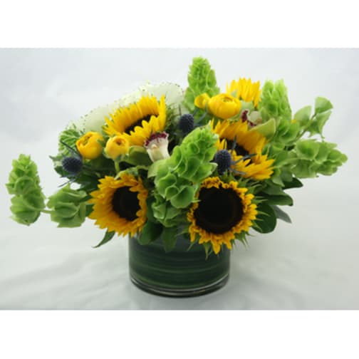 San Diego Florist Flower Delivery by Rancho Santa Fe Flowers And Gifts