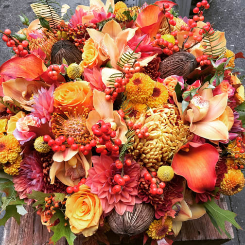 San Francisco Florist Flower Delivery by Not Just Flowers