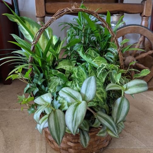 Eureka Florist Flower Delivery by Mary Hana Flowers