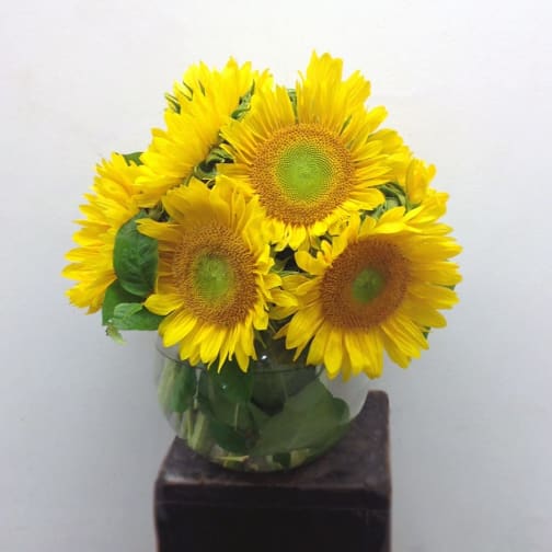 Brooklyn Florist Flower Delivery By James Weir Floral Co