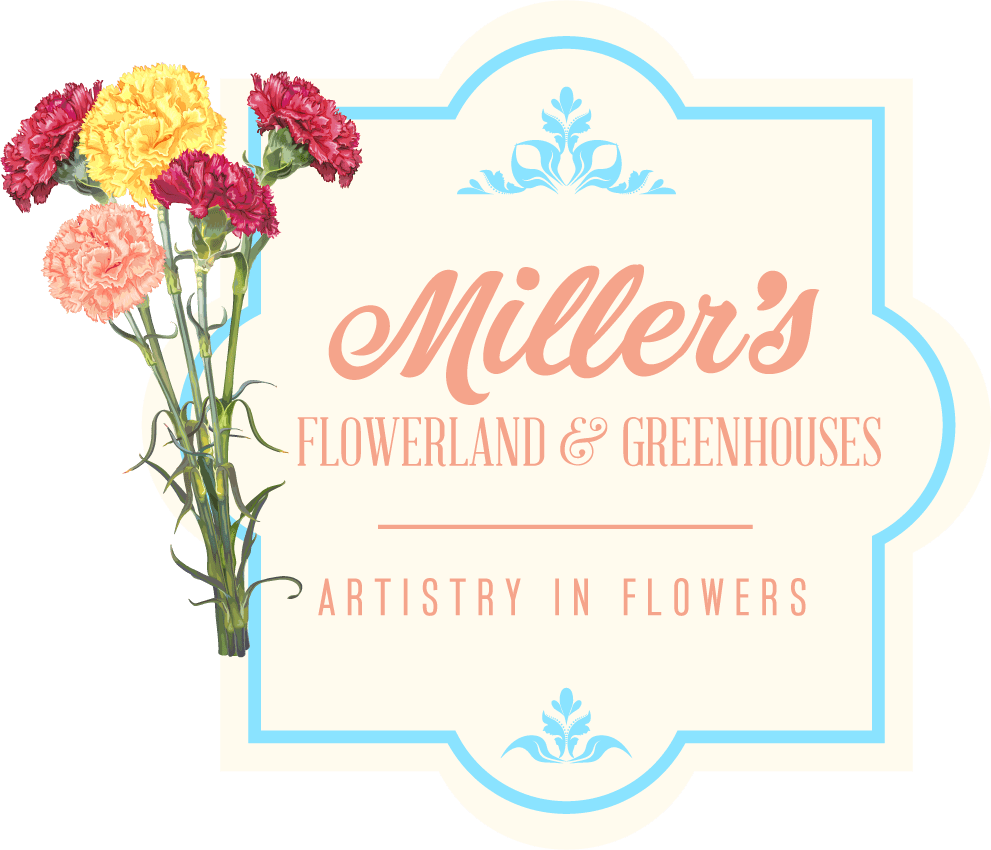 Betty S Flowers North Las Vegas Best Flower Site