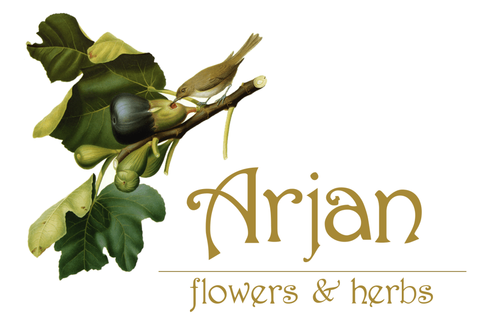 Oakland Florist Flower Delivery By Arjan Flowers