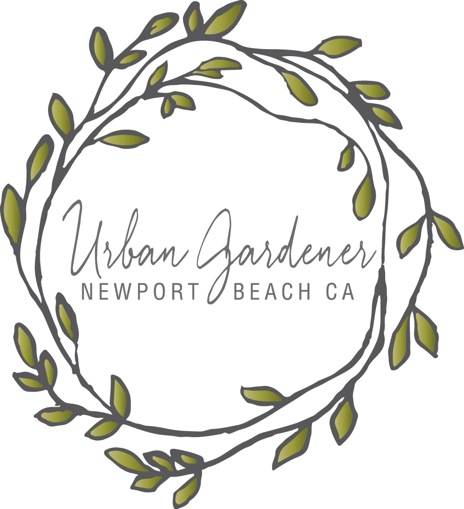 Newport Beach Florist Flower Delivery By Urban Gardener