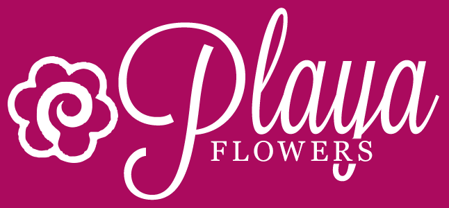 Playa Del Rey Florist Flower Delivery By Playa Del Rey Florist