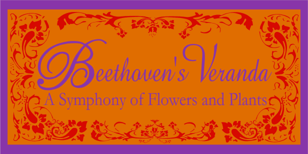 Hoboken Florist Flower Delivery By Beethoven S Veranda Hoboken Florist Flower Delivery By