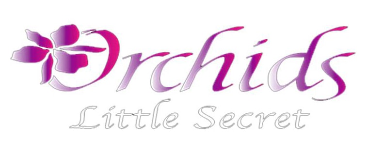 Placentia Florist Flower Delivery By Orchids Little Secret Boutique
