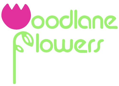 Woodbury Florist Flower Delivery By Woodlane Flowers