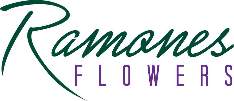 Wilmington Florist Flower Delivery By Ramones Flowers