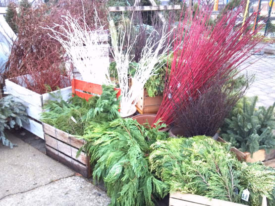 Winter Containers And Greens Create Holiday Whimsy Blog West