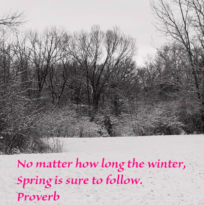 Proverbs Sayings And Quotes Blog West End Florist Garden Center