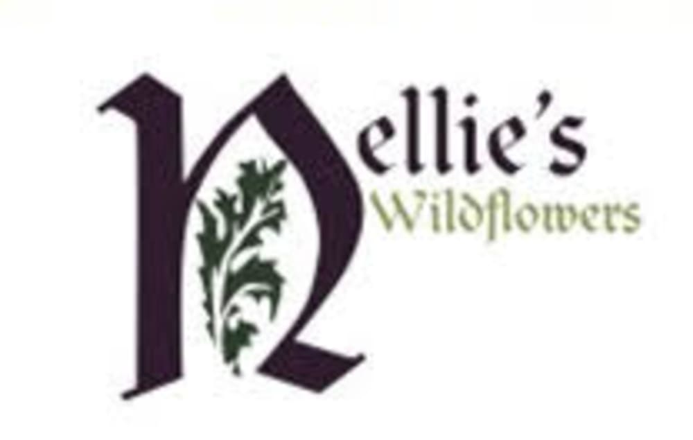 Somerville Florist Flower Delivery By Nellie S Wildflowers