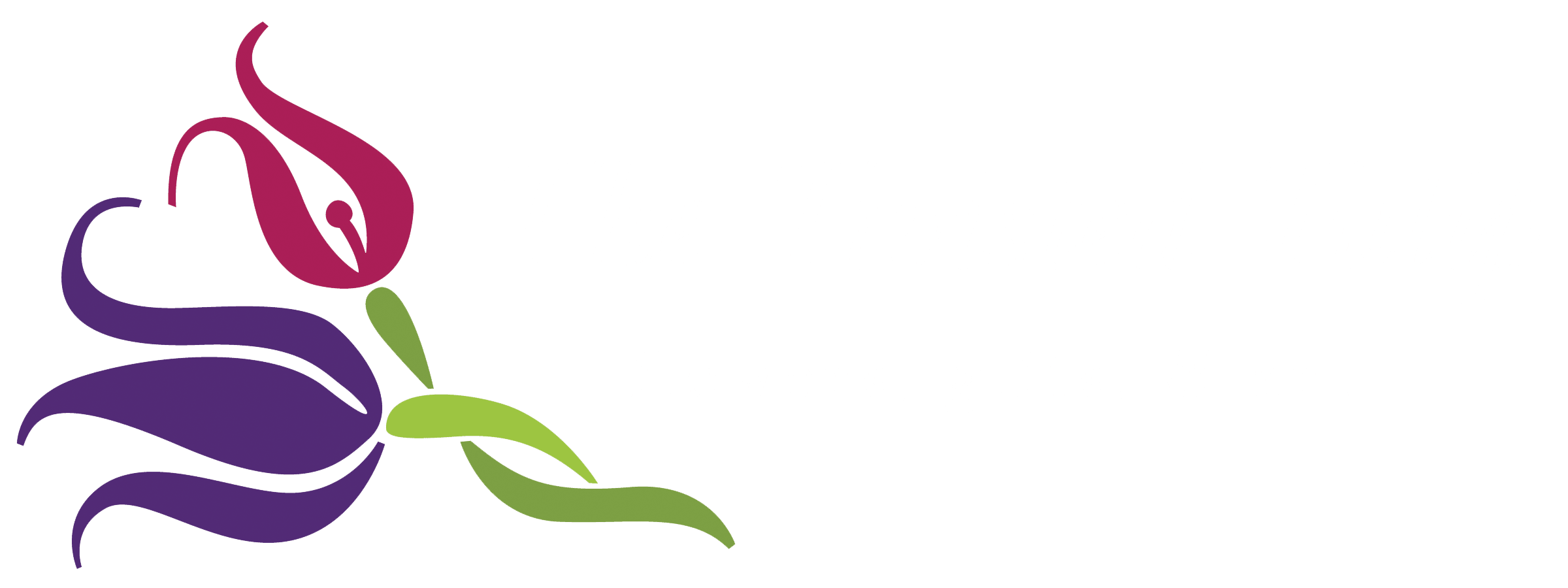 The Twisted Tulip - Denver, CO florist
