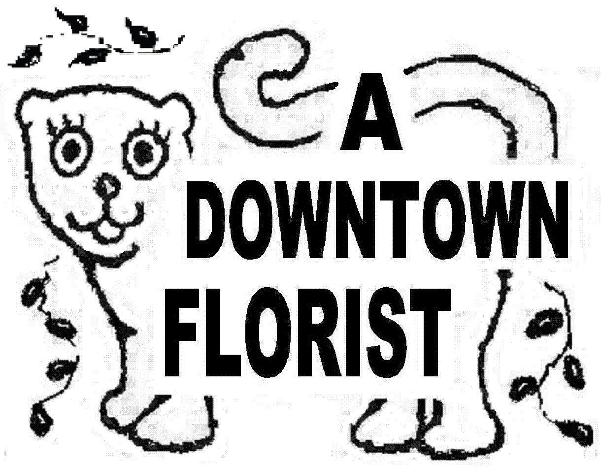 Altamonte Springs Florist Flower Delivery By A Downtown Florist