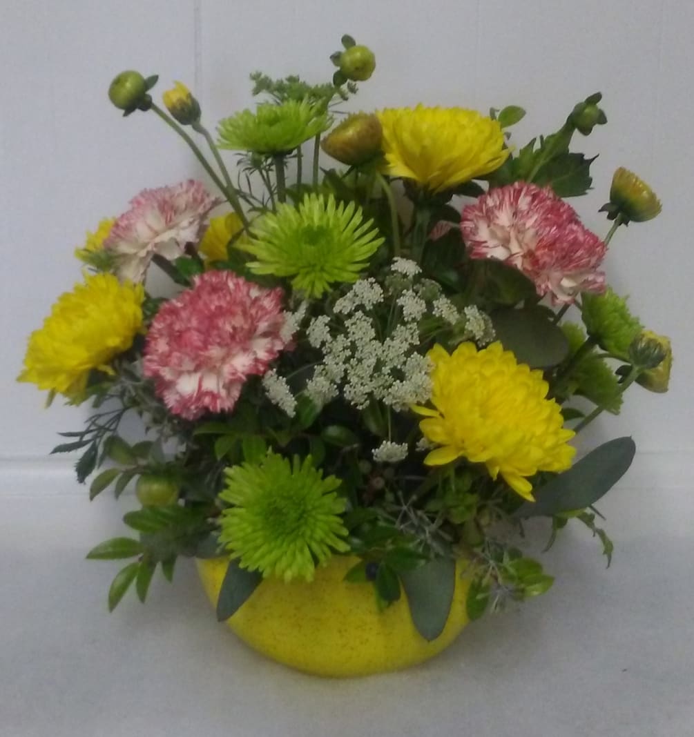 Sunny Mums By Alsea Bay Florist