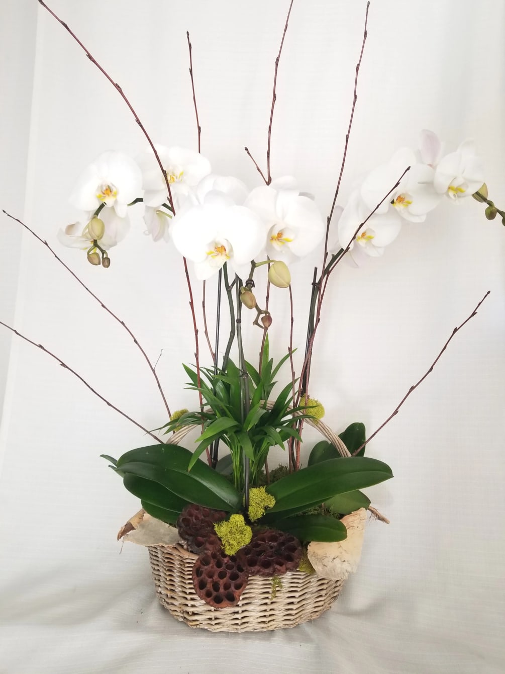 Orchid Splendor By Jp Designs Floral