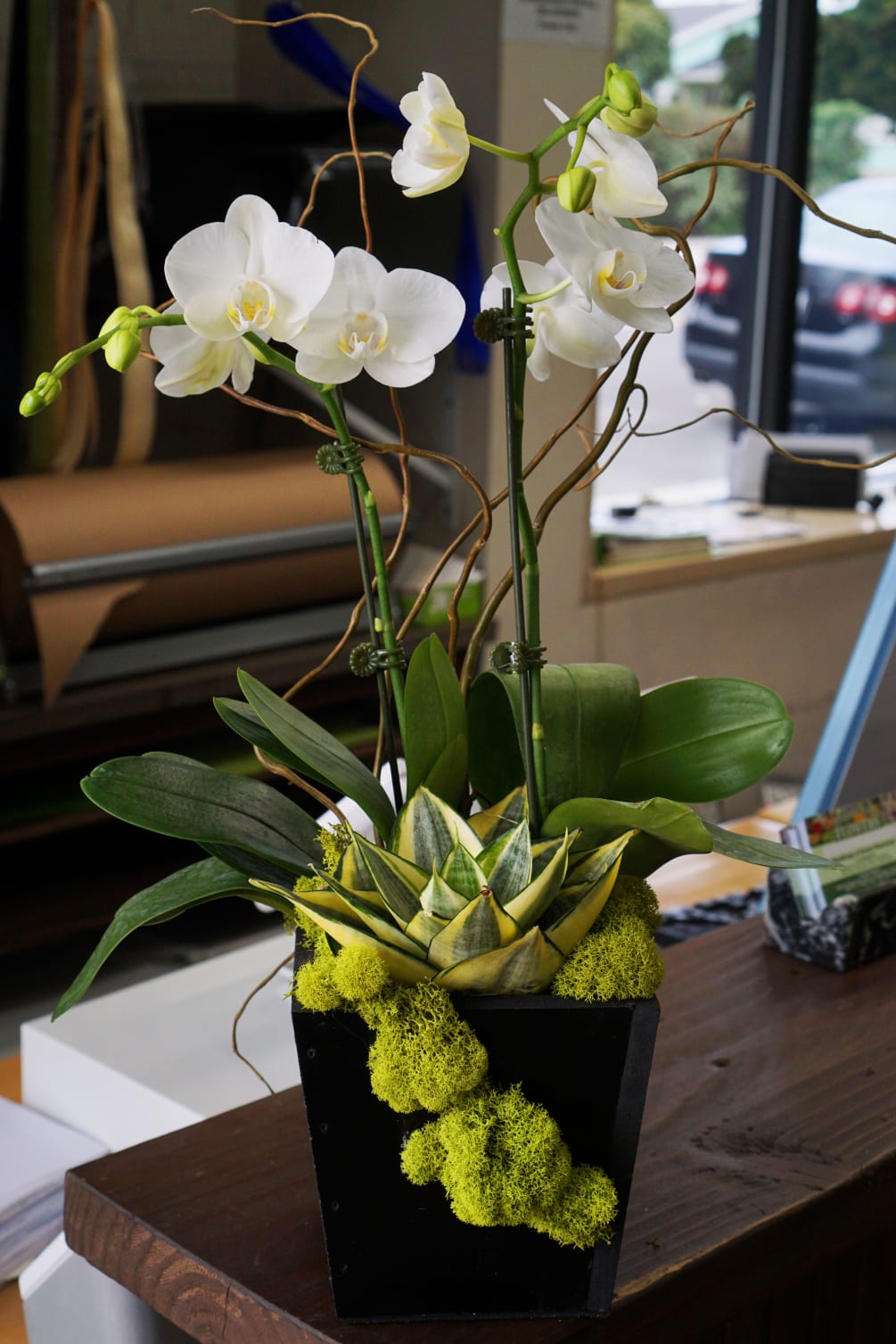 Orchid Delight By Growers Direct Flowers