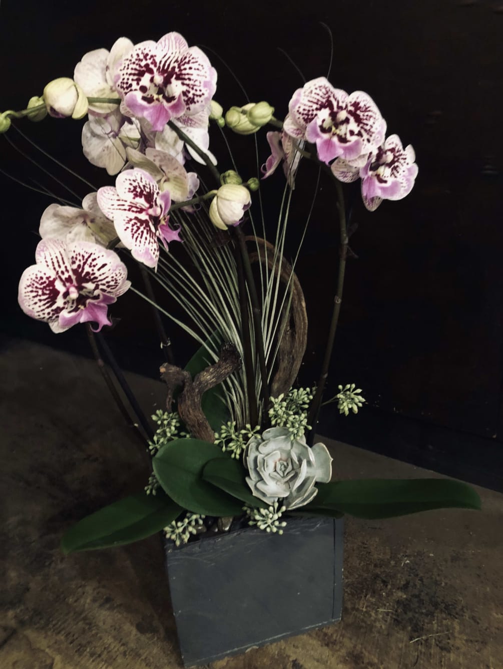 Purple And White Orchids