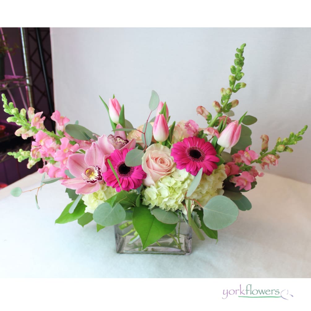 Elaine by York Flowers