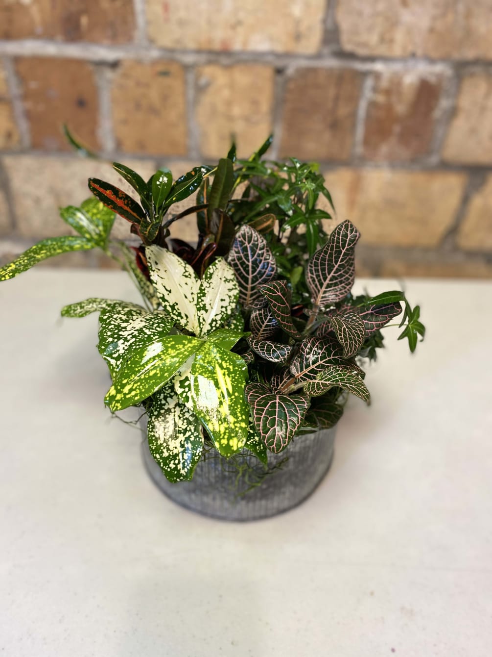 Grace And Comfort Planter By Anointed Flowers Gifts