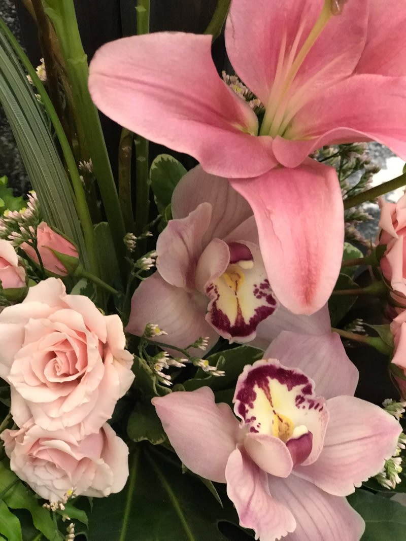 Blooming Imagination in Fort Lauderdale, FL | Victoria ...