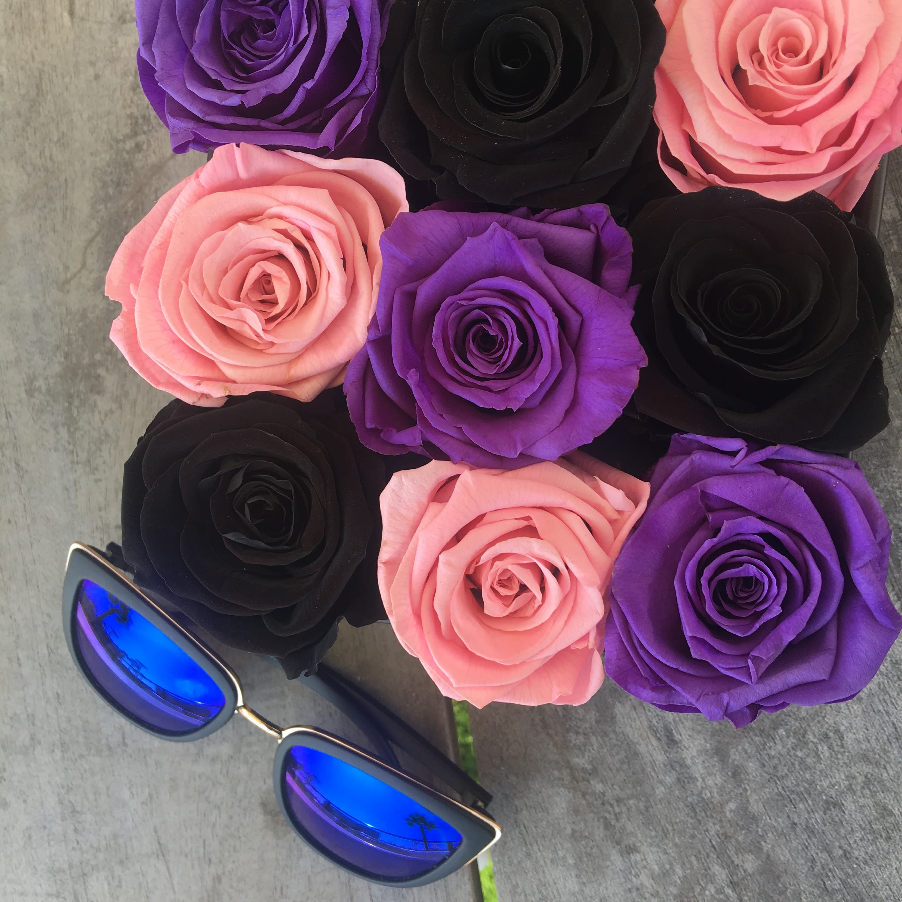 Everlasting Roses Tricolor (9 Roses) ft. our popular Black Roses in