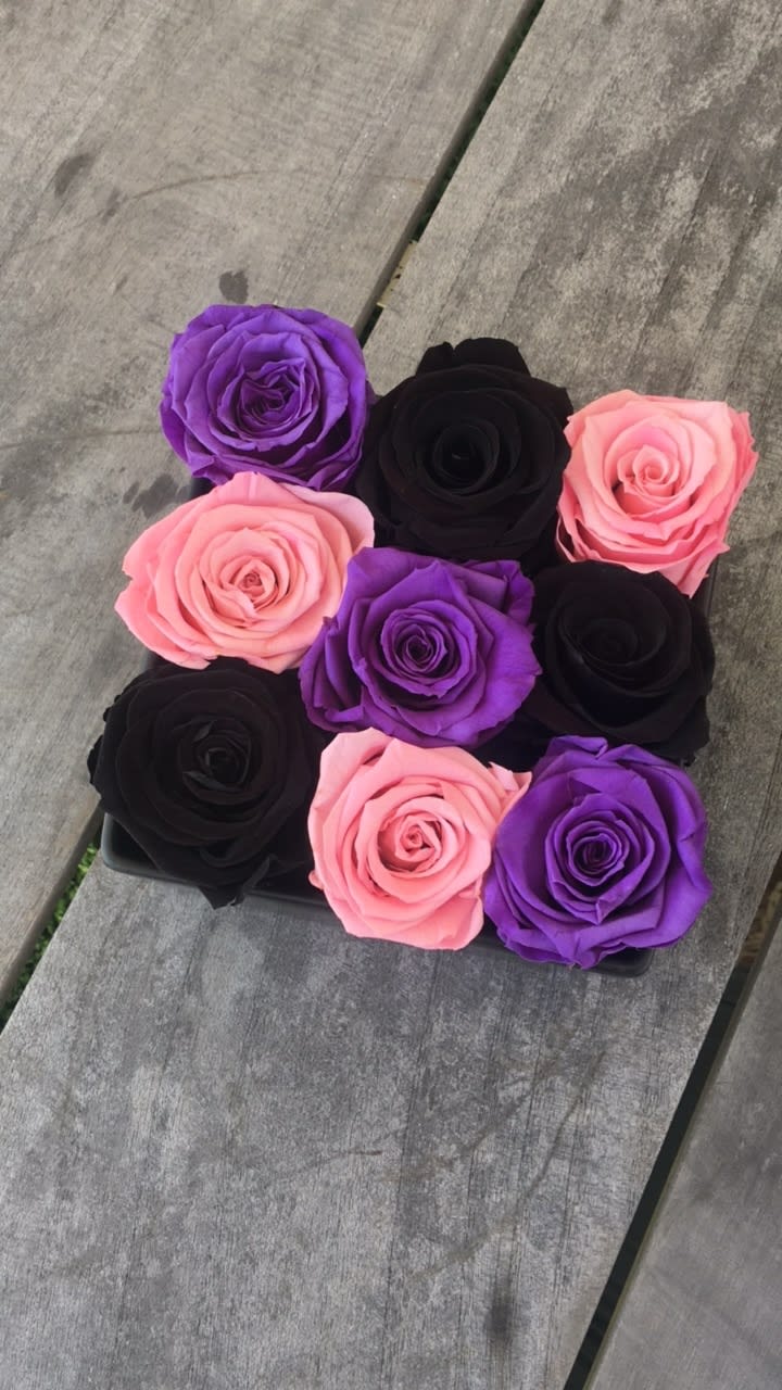 Everlasting Roses Tricolor (9 Roses) ft. our popular Black Roses in