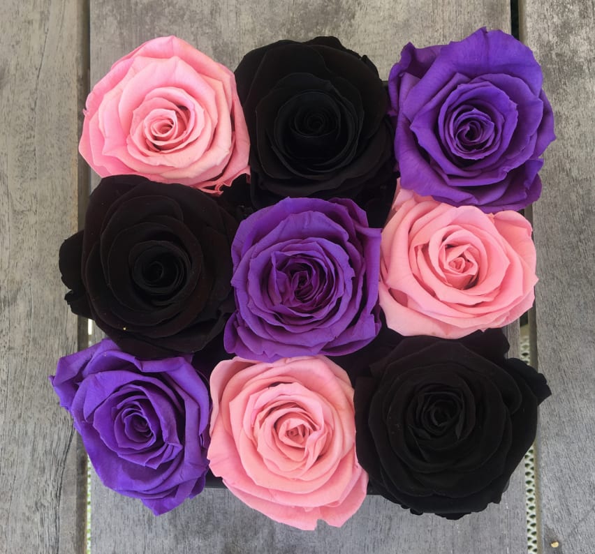 Everlasting Roses Tricolor (9 Roses) ft. our popular Black Roses in