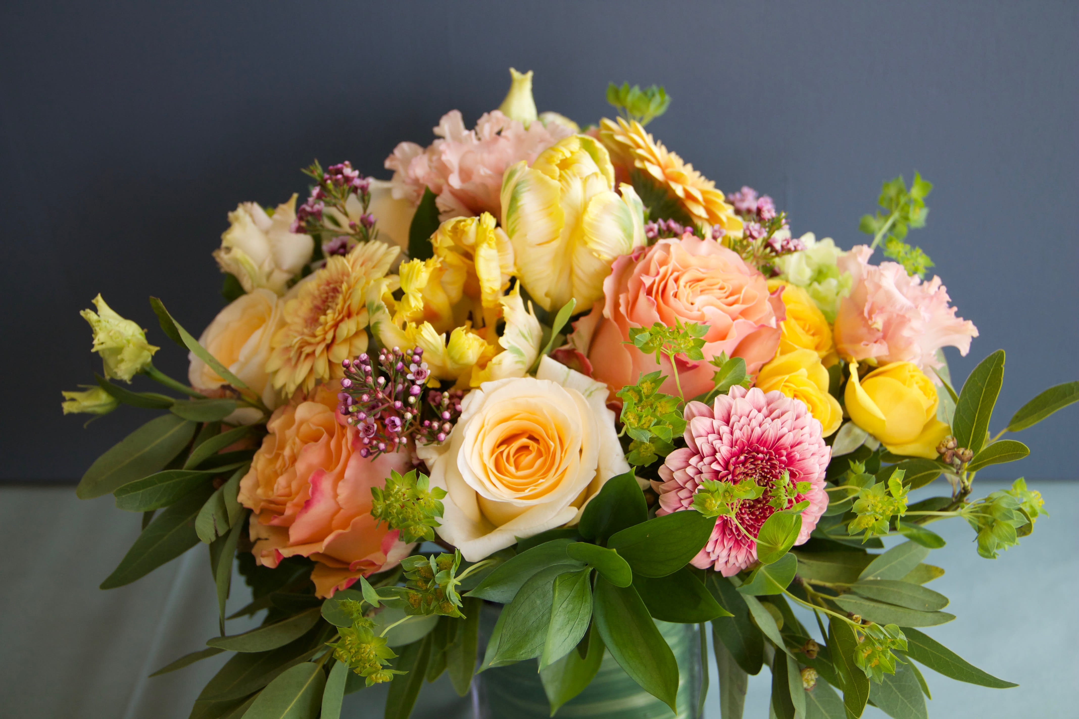 Spring in Bloom in Montclair, NJ Rosaspina