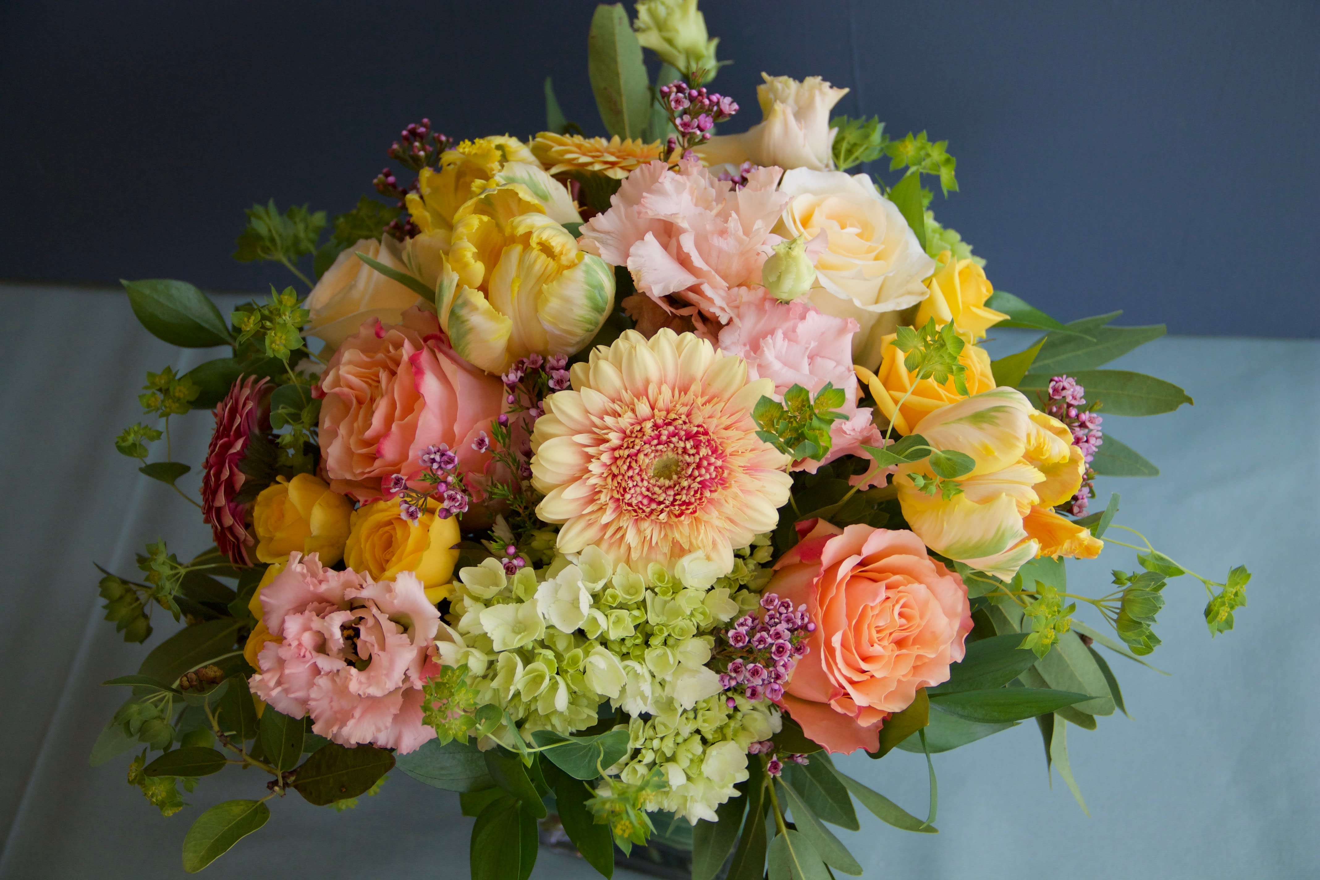 Spring in Bloom in Montclair, NJ Rosaspina